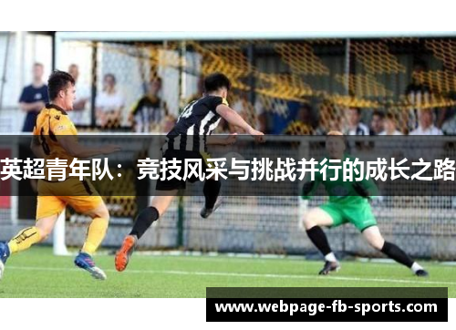 英超青年队：竞技风采与挑战并行的成长之路