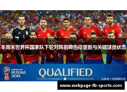 本周末世界杯国家队下轮对阵前瞻伤停更新与关键球员状态