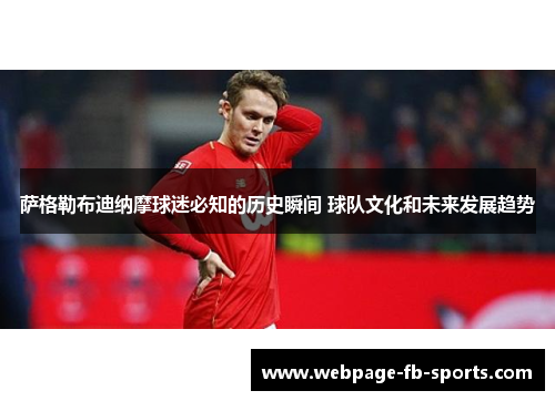 萨格勒布迪纳摩球迷必知的历史瞬间 球队文化和未来发展趋势